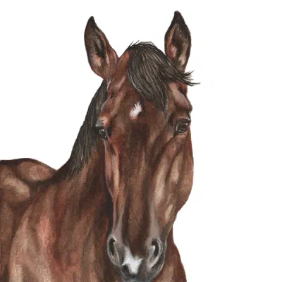Custom watercolor pet portrait