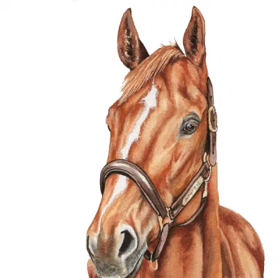 Custom watercolor pet portrait