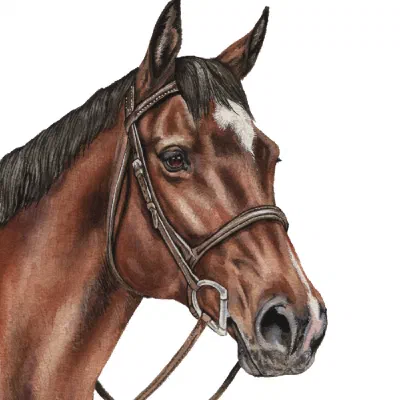 Custom watercolor pet portrait