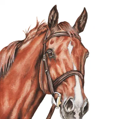 Custom watercolor pet portrait