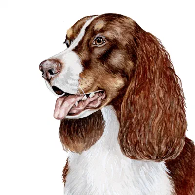 Custom watercolor pet portrait