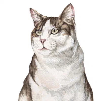 Custom watercolor pet portrait