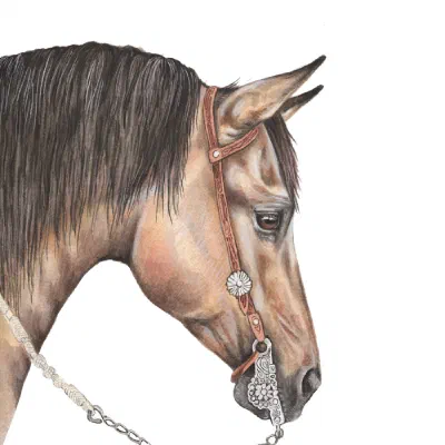Custom watercolor pet portrait