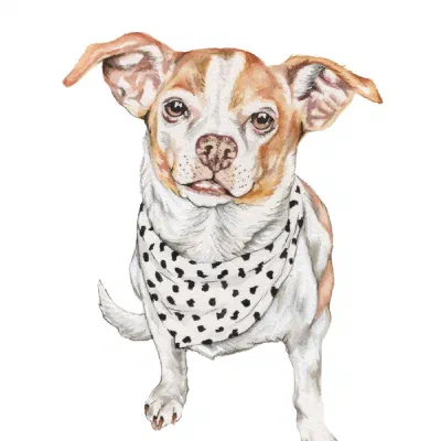 Custom watercolor pet portrait