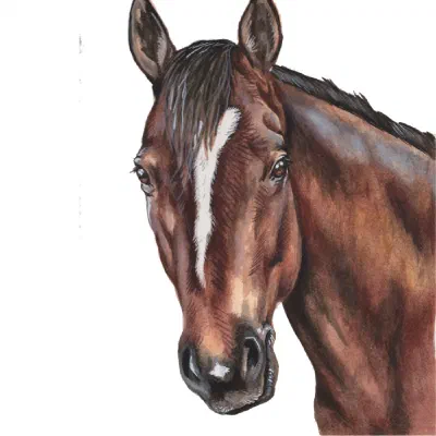 Custom watercolor pet portrait