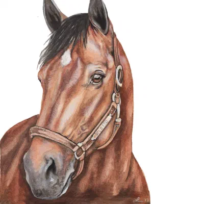 Custom watercolor pet portrait