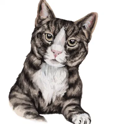 Custom watercolor pet portrait