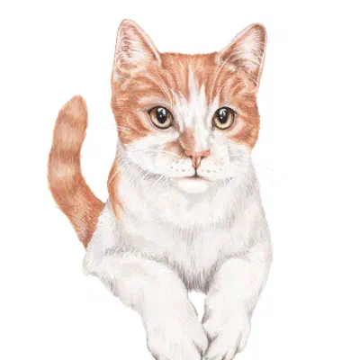 Custom watercolor pet portrait