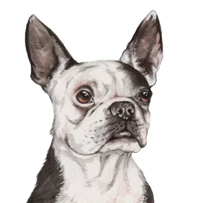 Custom watercolor pet portrait