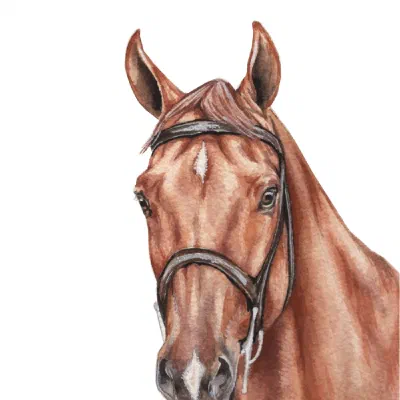 Custom watercolor pet portrait