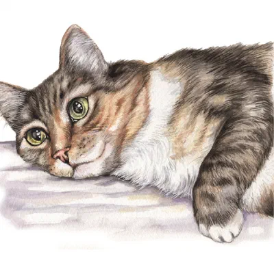 Custom watercolor pet portrait