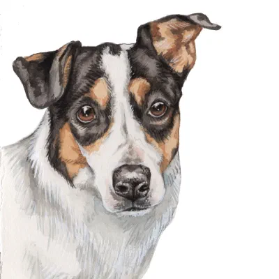 Custom watercolor pet portrait