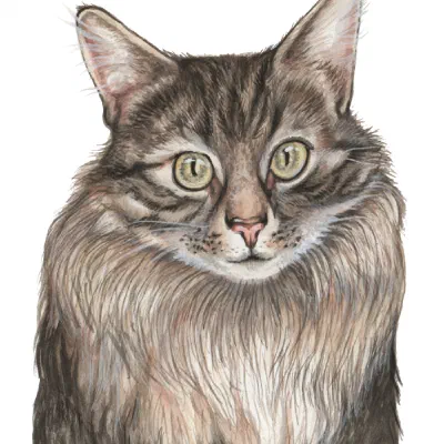 Custom watercolor pet portrait