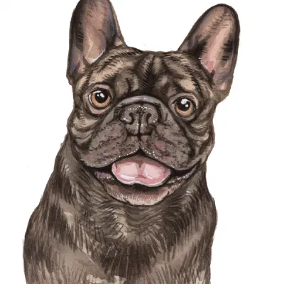 Custom watercolor pet portrait