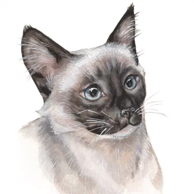 Custom watercolor pet portrait