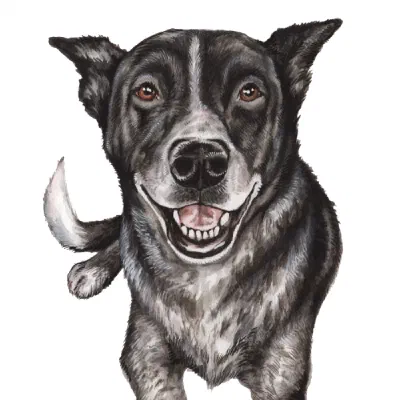 Custom watercolor pet portrait