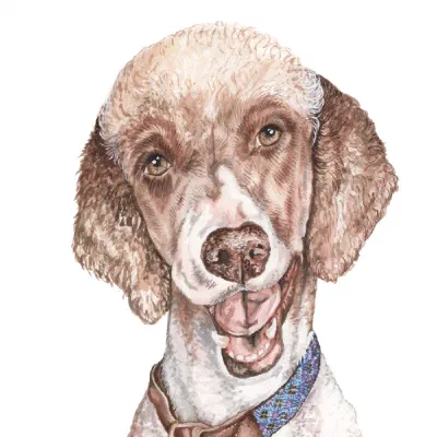 Custom watercolor pet portrait