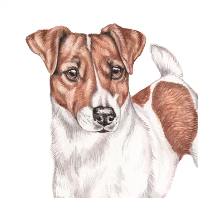 Custom watercolor pet portrait
