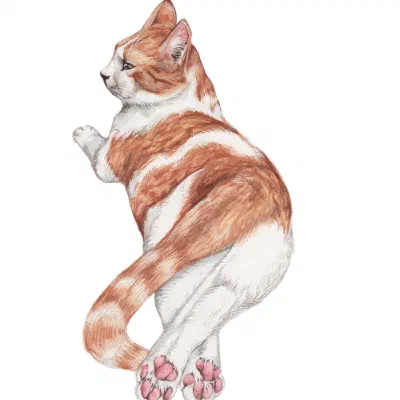 Custom watercolor pet portrait