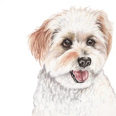 Custom watercolor pet portrait