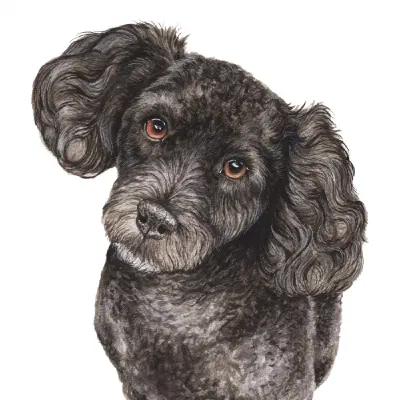 Custom watercolor pet portrait