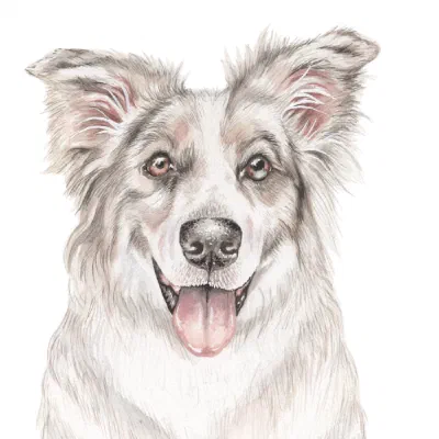 Custom watercolor pet portrait