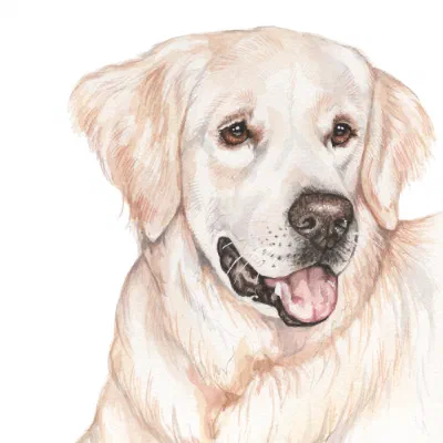 Custom watercolor pet portrait