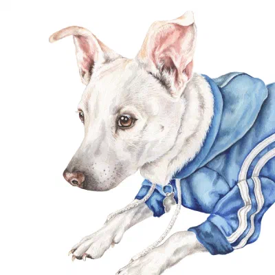 Custom watercolor pet portrait
