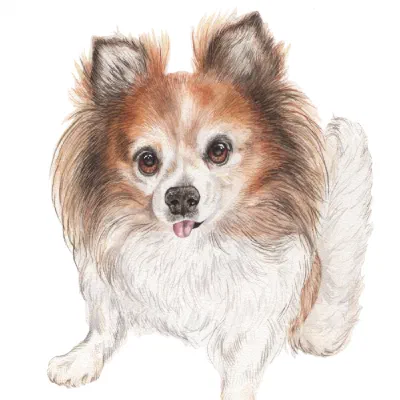 Custom watercolor pet portrait