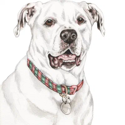 Custom watercolor pet portrait