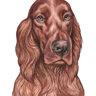 Custom watercolor pet portrait