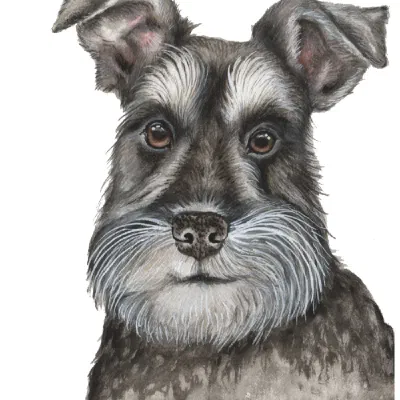 Custom watercolor pet portrait