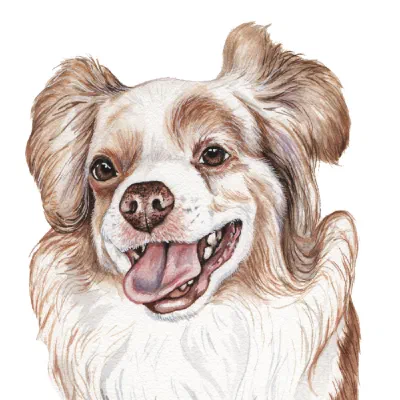 Custom watercolor pet portrait