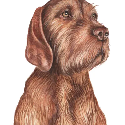 Custom watercolor pet portrait