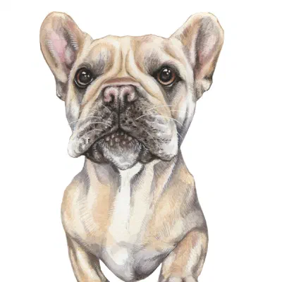 Custom watercolor pet portrait