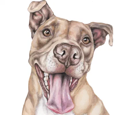 Custom watercolor pet portrait