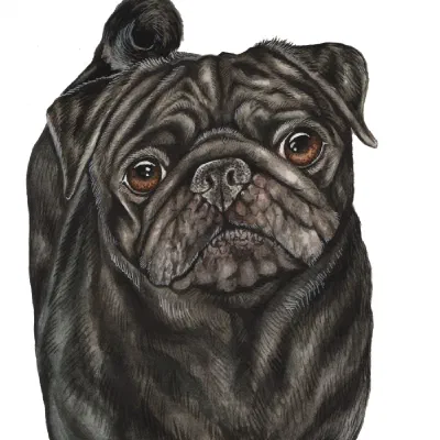 Custom watercolor pet portrait
