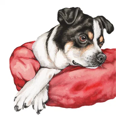 Custom watercolor pet portrait