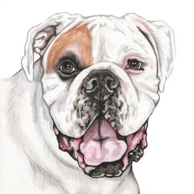 Custom watercolor pet portrait