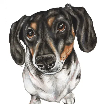 Custom watercolor pet portrait