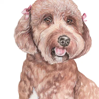 Custom watercolor pet portrait
