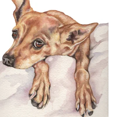 Custom watercolor pet portrait
