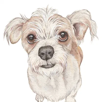 Custom watercolor pet portrait