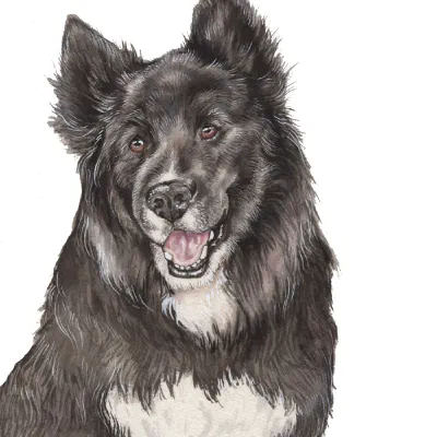 Custom watercolor pet portrait