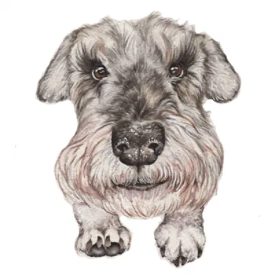 Custom watercolor pet portrait