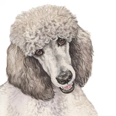 Custom watercolor pet portrait