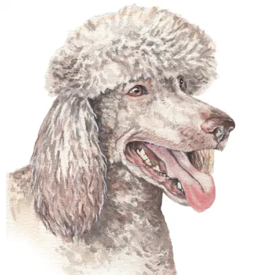 Custom watercolor pet portrait