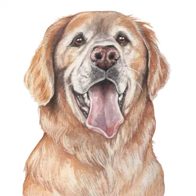 Custom watercolor pet portrait