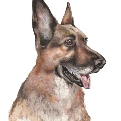 Custom watercolor pet portrait