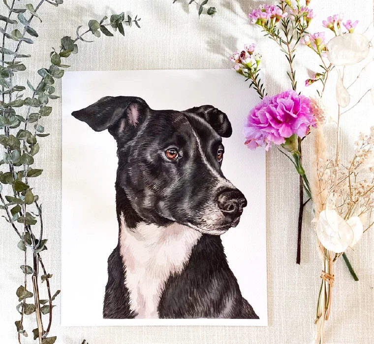 Watercolor portrait of a black-and-white dog